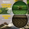 thumbnail image 9 of Spruce Weed & Grass Killer Kit, 1 Power Spray Starter Kit and 1 Refill, 64oz x 64oz, 9 of 10