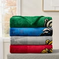 thumbnail image 5 of Adult Silk Touch Licensed 60" x 70" Silk Touch Throw, 5 of 6