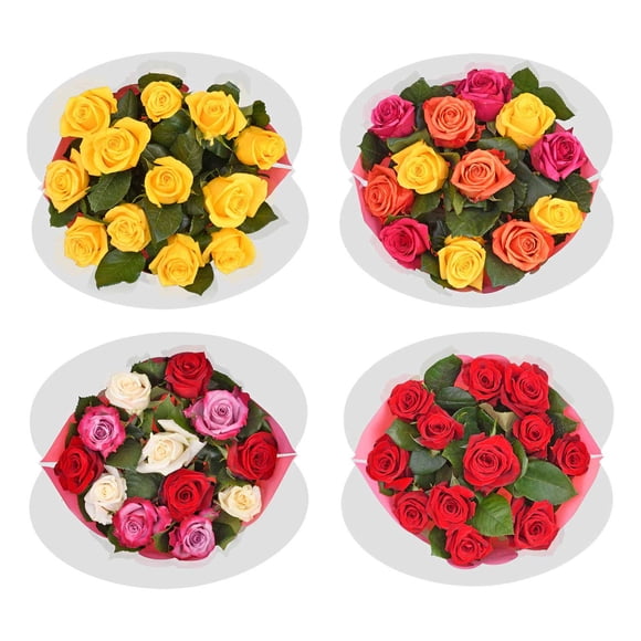 Member's Mark Premium Dozen Roses, 12 stems, color and variety may vary
