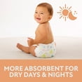 thumbnail image 7 of Member's Mark Premium Baby Diapers, Sizes Newborn - 8, 7 of 16
