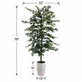 thumbnail image 3 of Artificial 6.5' Olive Tree in a White Ceramic Planter, 3 of 3