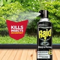 thumbnail image 13 of Raid Wasp & Hornet Killer 3ct, 17.5 oz., 13 of 17