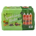 thumbnail image 1 of Member's Mark Sparkling Water Variety Pack (17 oz., 24 pk.), 1 of 7