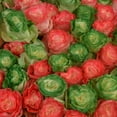 thumbnail image 5 of Member's Mark Illusion Roses, 96 stems, Choose color variety, 5 of 7