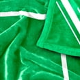 thumbnail image 6 of Logo Brands North Dakota Fighting Hawks 60"x70" Super Plush Blanket, 6 of 6