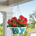 thumbnail image 2 of Member's Mark 14'' Hanging Flower Pot with Stainless Steel Chain, 2 of 3