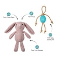 thumbnail image 2 of Jumbo Plush Bunny Dog Toy with TPR Ball & Rope, 2 of 5