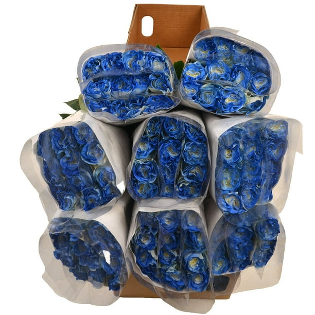 Member's Mark Illusion Roses, 96 stems, Choose color variety