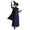 thumbnail image 1 of Wicked Elphaba Adult Deluxe Costume, 1 of 8
