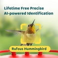 thumbnail image 4 of Birdfy Smart Hummingbird Feeder, 4 of 7