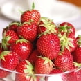 thumbnail image 4 of Member's Mark Strawberry Ozark Beauty, 40pk, 4 of 9
