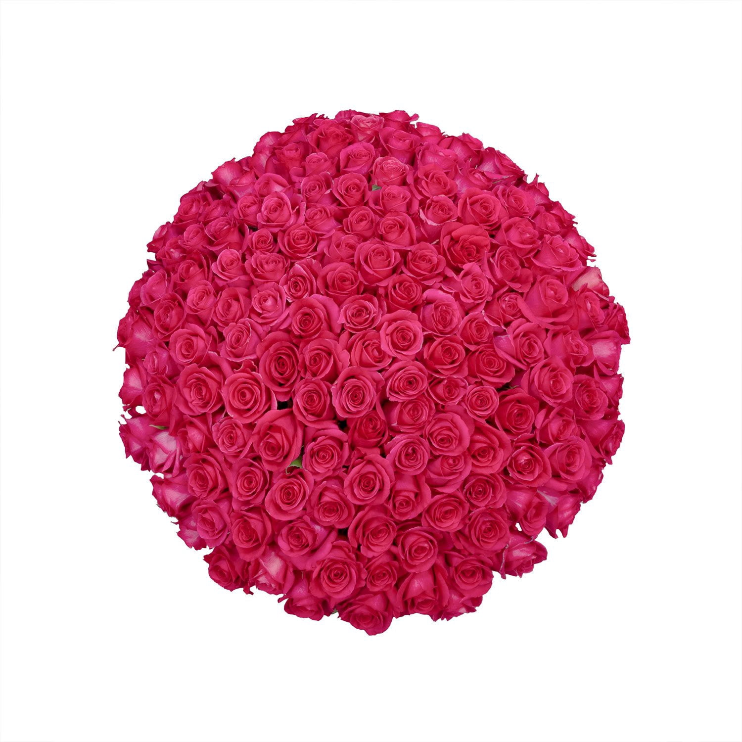 Member's Mark Ecuadorian Premium Roses, choose color variety and stem ...