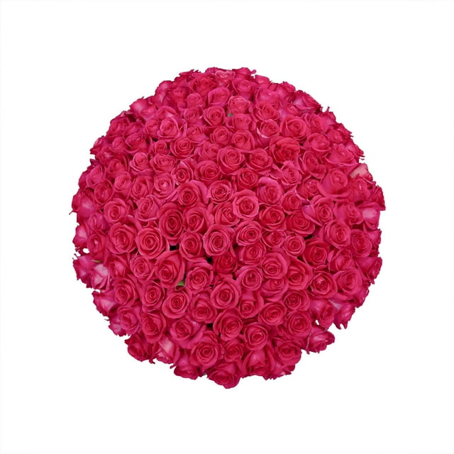 Member's Mark Ecuadorian Premium Roses, choose color variety and stem ...