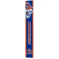 thumbnail image 1 of HBCU 8" x 60" Reversible Porch Greeter Sign, Choose Team, 1 of 5