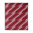 thumbnail image 4 of Logo Brands South Carolina Gamecocks 60"x70" Super Plush Blanket, 4 of 6