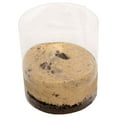 thumbnail image 3 of Member's Mark 3" Cookies 'n Crème Cheesecakes, Frozen, Case, 40 ct., 3 of 4