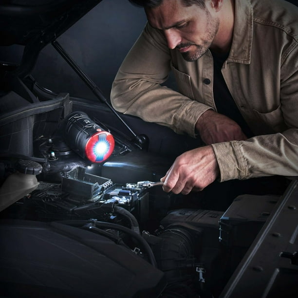 Member's Mark 200 Lumens Dual Power 2PK LED Lantern - Samsclub.com