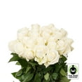 thumbnail image 2 of Member's Mark Fair Trade Roses, 75 stems, Choose color variety, 2 of 5