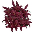 thumbnail image 1 of Member's Mark Oriental Trumpet Lilies, Choose color and stem count, 1 of 2