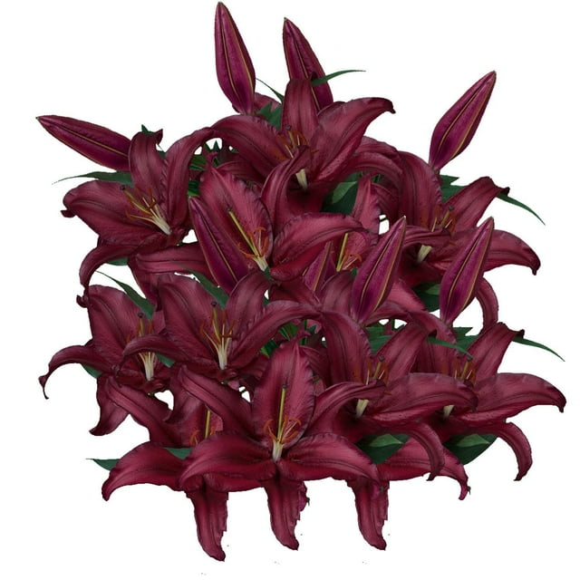 Member's Mark Oriental Trumpet Lilies, Choose color and stem count