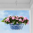 thumbnail image 7 of Member's Mark 14" Hanging Melamine Flower Pot with Stainless Steel Chain, 7 of 7