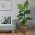 thumbnail image 4 of Artificial 6' Taro Tree in a Brown Ceramic Planter, 4 of 5