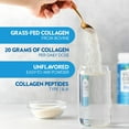 thumbnail image 3 of Nature's Truth Ultra Collagen Powder 11 oz., 3 of 4