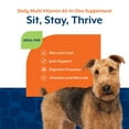thumbnail image 6 of NaturVet Daily Multi-Vitamin All-In-One Supplement for Dogs, 240 ct., 6 of 9