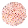 thumbnail image 1 of Member's Mark Ecuadorian Premium Roses, choose color variety and stem count, 1 of 5