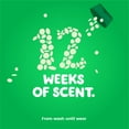 thumbnail image 4 of Gain Fireworks In-Wash Scent Booster Beads, Original (37.5 oz.), 4 of 7