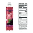 thumbnail image 3 of Member's Mark Sparkling Water Variety Pack, 17 fl. oz., 24 pk., 3 of 6