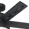 thumbnail image 7 of Hunter 44" Lilliput Ceiling Fan with Light Kit and Pull Chain, 7 of 14