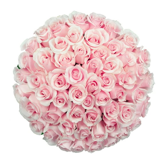 Member's Mark Ecuadorian Premium Roses, choose color variety and stem count