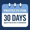 thumbnail image 8 of PetArmor Plus Flea & Tick Protection for Cats, 8-Month Supply, 8 of 13