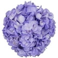 thumbnail image 3 of Member's Mark Color Enhanced Hydrangeas, 20 stems, choose color, 3 of 4