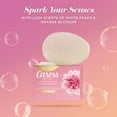 thumbnail image 5 of Caress Silkening Daily Silk Beauty Bar, White Peach & Orange Blossom, 3.75 oz., 16 ct., 5 of 7