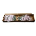 thumbnail image 6 of Member's Mark Football Mums, choose color and stem count, 6 of 6