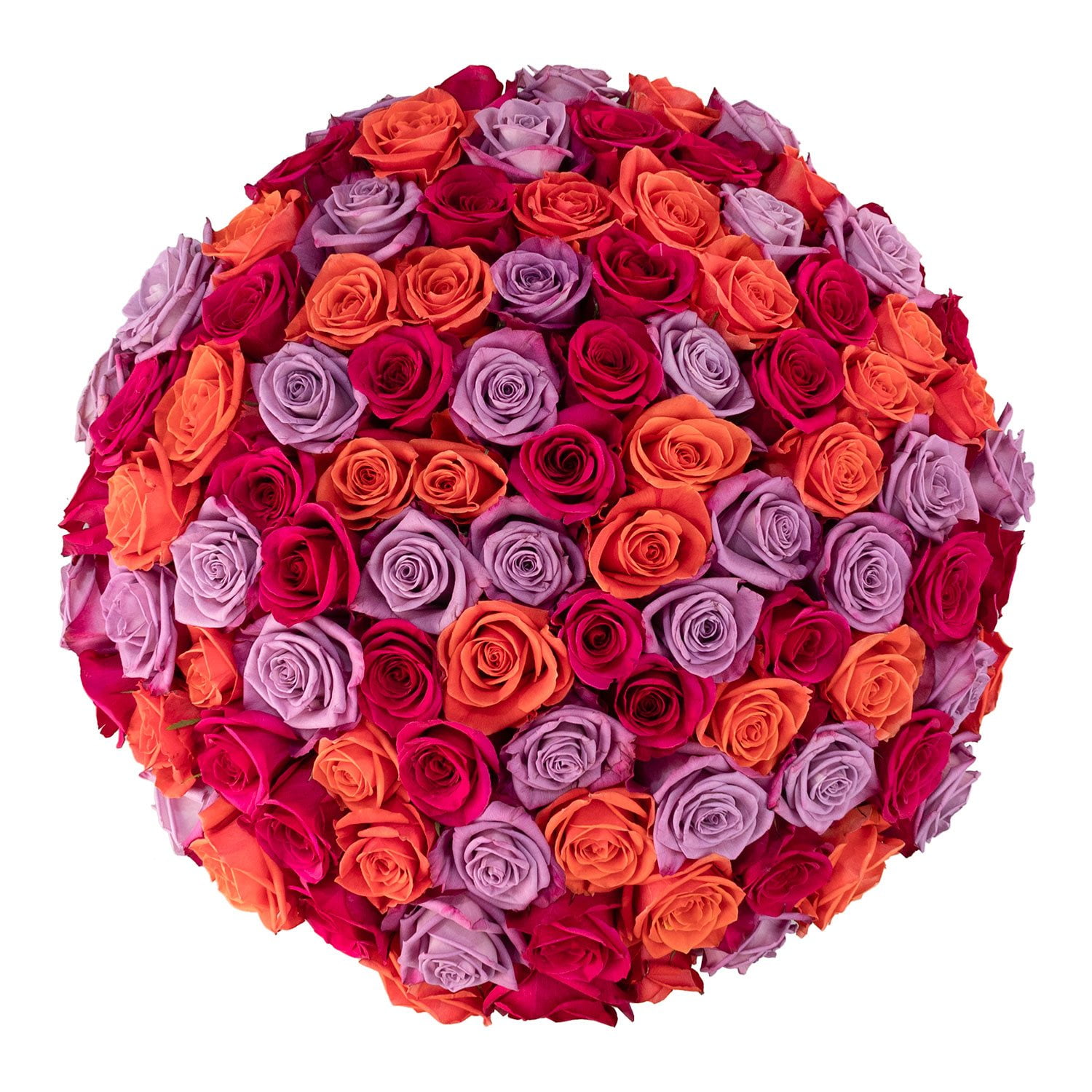 Member's Mark Rose Vase Arrangement, 100 stems, choose color