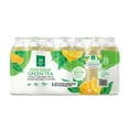 thumbnail image 1 of Member's Mark Zero Sugar Green Tea, 16.9 fl. oz., 35 pk., 1 of 5