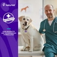 thumbnail image 7 of Evolutions by NaturVet, All-in-One Plus Superfoods, Soft Chews for Dogs, 180 ct., 7 of 9