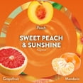 thumbnail image 5 of Air Wick Plug In Scented Oil Air Freshener, Sea Spray & Breeze, Sweet Peach, 1 warmer + 6 refills, 5 of 12