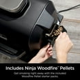 thumbnail image 9 of Ninja Woodfire® Pro 4-in-1 XL Outdoor Grill & Smoker with Built-in Thermometer, 9 of 11