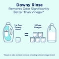thumbnail image 8 of Downy Rinse Laundry Odor Remover, Cool Cotton, 87.5 fl. oz., 8 of 10