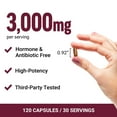 thumbnail image 3 of Force Factor Primal Origins Beef Liver Capsules, 120 ct., 3 of 4
