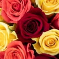 thumbnail image 6 of Member's Mark Rose Vase Arrangement, 100 stems, choose color, 6 of 8