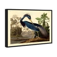 thumbnail image 1 of Louisiana Heron Traditional Canvas Print by Oliver Gal Prints, 1 of 4
