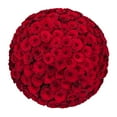 thumbnail image 1 of Member's Mark Ecuadorian Premium Roses, choose color variety and stem count, 1 of 6