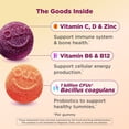thumbnail image 4 of OLLY Kids Multivitamin + Probiotic Gummy, Berry, 160 ct., 4 of 10