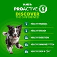 thumbnail image 2 of IAMS Proactive Health Minichunks Chicken Recipe Adult Dry Dog Food, Multi-sizes, 2 of 12