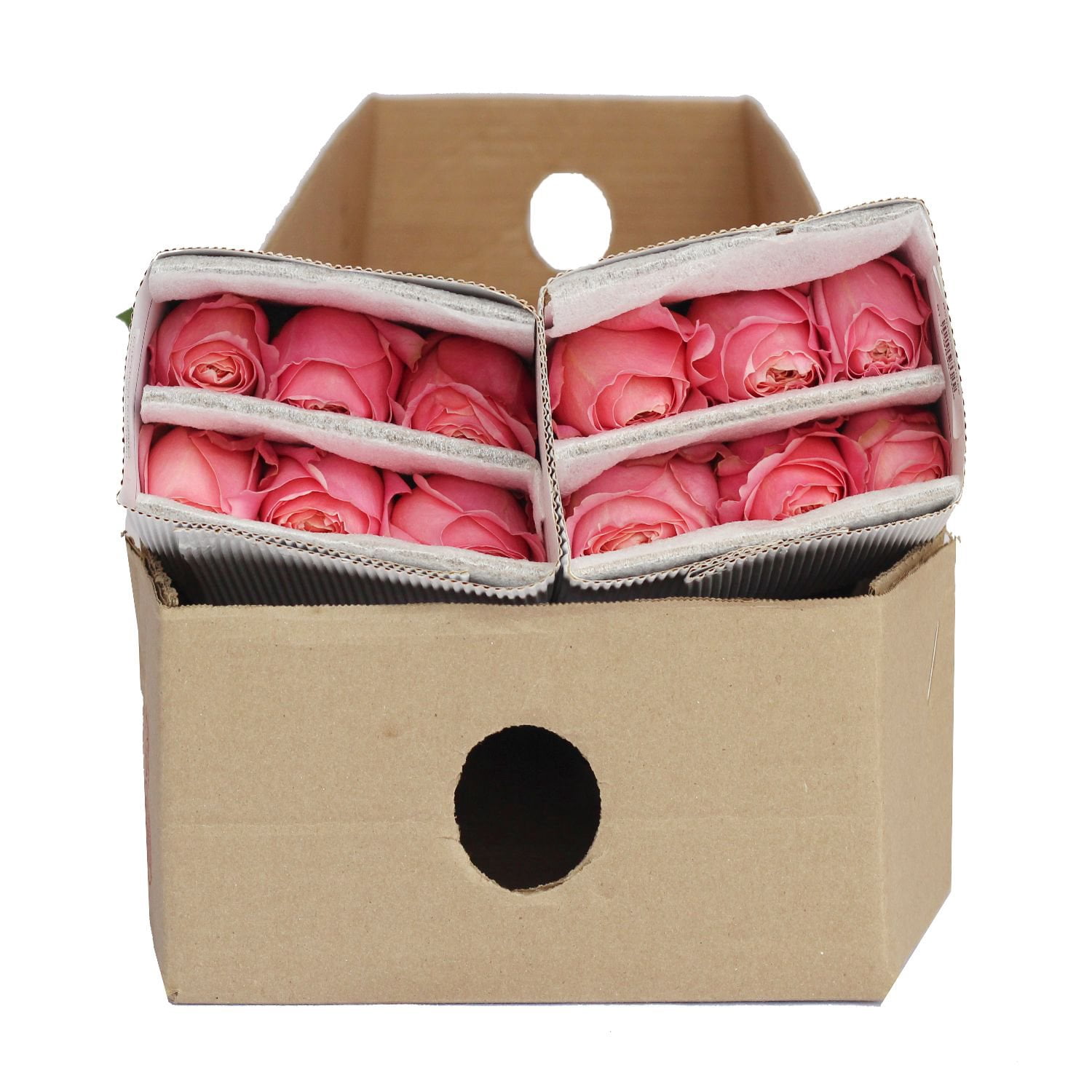 Member's Mark Garden Roses, 36 stems, Choose color variety